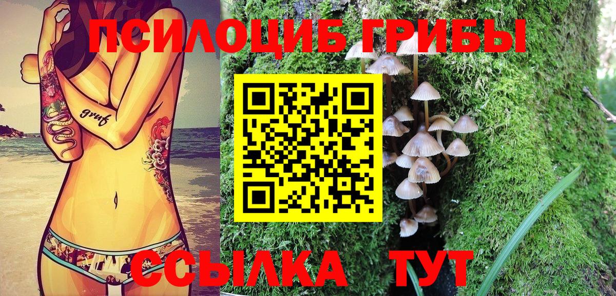 Галлюциногенные грибы ЛСД  Вход с VPN  Карасук 