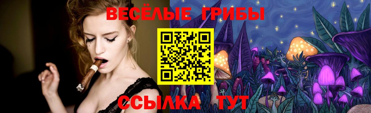 Псилоцибиновые грибы MAGIC MUSHROOMS Карасук